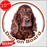 Red Irish Setter, circle sticker "Dog on board" 15 cm, car decal label adhesive photo notice glass