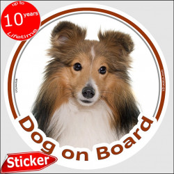 Red Mahogany Shetland Sheepdog, circle sticker "Dog on board" 15 cm, car decal label adhesive photo notice