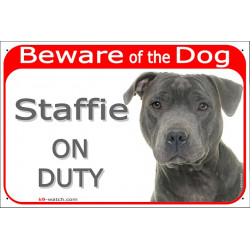 Portal Sign red "Beware of the Dog, grey blue Staffie on duty" 24 cm, gate plate notice, stafforshire Bull Terrier