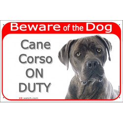 Red Portal Sign "Beware of the Dog, Blue Cane Corso on duty" 24 cm, gate plate photo notice, panel placard