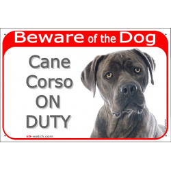 Red Portal Sign "Beware of the Dog, Blue Cane Corso on duty" 24 cm