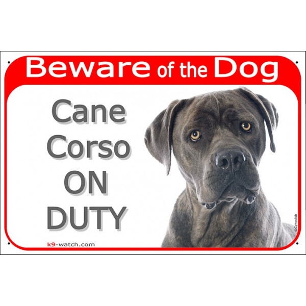 Red Portal Sign "Beware of the Dog, Blue Cane Corso on duty" 24 cm, gate plate photo notice, panel placard