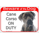 Red Portal Sign "Beware of the Dog, Blue Cane Corso on duty" 24 cm