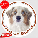 White & red merle Aussie, circle car sticker "Dog on board" 15 cm