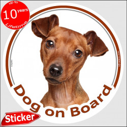 fawn orange Solid red Pinscher, circle sticker "Dog on board" 15 cm, car decal label adhesive photo notice