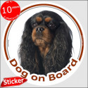 Cavalier King Charles, circle sticker "Dog on board" 15 cm