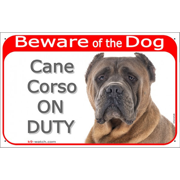 Red Portal Sign "Beware of the Dog, Fawn Cane Corso on duty" 24 cm, gate plate photo notice brown Italiano Mastiff