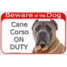 Red Portal Sign "Beware of the Dog, Fawn Cane Corso on duty" 24 cm