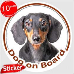 Smooth haired black & Tan Dachshund, circle car sticker "Dog on board" 15 cm, decal adhesive notice label