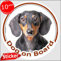 Dachshund, car circle sticker "Dog on board" 15 cm