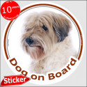 Golden & white Tibetan Terrier, circle sticker "Dog on board" 15 cm
