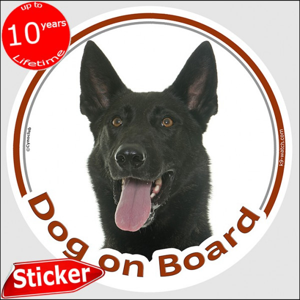 Black short hair Dutch Shepherd, circle car sticker "Dog on board" 15 cm, adhesive photo notice