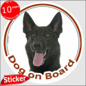 Dutch Shepherd, car sticker "Dog on board" 15 cm