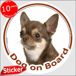 Chocolate short hair Chihuahua, circle sticker "Dog on board" 15 cm, car