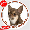 Chocolate short hair Chihuahua, circle sticker "Dog on board" 15 cm, car