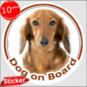 Red long-haired Dachshund, circle sticker "Dog on board" 15 cm