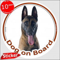 Circle sticker "Dog on board" 15 cm, Belgium Shepherd Malinois Head, Decal adhesive car label Belgian Sheepdog Mechelse Herder, 