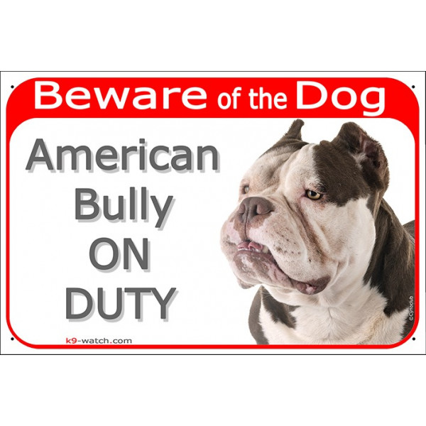 Portal Sign red 24 cm Beware of Dog, Bicolor Brown chocolate and white American Bully on duty, gate plate placard panel