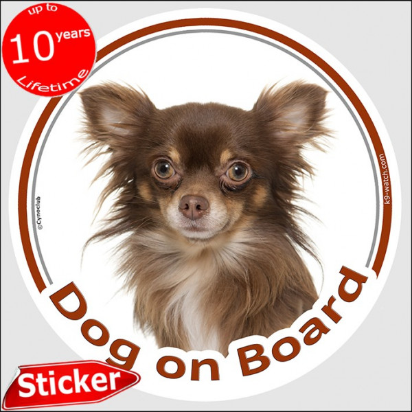 Chocolate long hair Chihuahua, circle sticker "Dog on board" 15 cm, car photo notice decal label adhesive