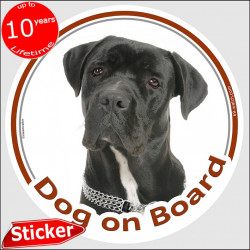Circle sticker "Dog on board" 15 cm, Black Cane Corso Head, decal adhesive car label Italian Mastiff