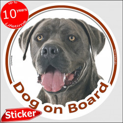 Grey Blue Cane Corso Italiano, car circle sticker "Dog on board" 15 cm decal label adhesive photo notice