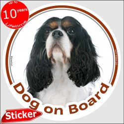 Tricolor Cavalier King Charles Spaniel, car circle sticker "Dog on board" Decal label photo notice