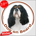Cavalier King Charles, car sticker "Dog on board" 15 cm