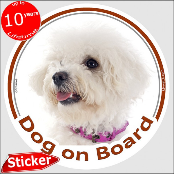 Circle sticker "Dog on board" 15 cm, Curly Bichon Frise Head, decal adhesive car label Tenerife photo notice