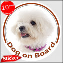 Curly Bichon Frise, car circle sticker "Dog on board" 15 cm
