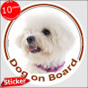 Circle sticker "Dog on board" 15 cm, Curly Bichon Frise Head, decal adhesive car label Tenerife photo notice
