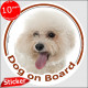 Curly Bichon Frise Tenerife, car circle sticker "Dog on board" 15 cm decal label photo notice