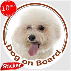 Curly Bichon Frise, car circle sticker "Dog on board" 15 cm