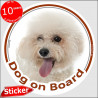 Curly Bichon Frise Tenerife, car circle sticker "Dog on board" 15 cm decal label photo notice