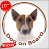 Fawn and white English Bull Terrier, car circle sticker "Dog on board" British red photo notice decal label