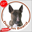 Brindle English Bull Terrier, car circle sticker "Dog on board" 15 cm