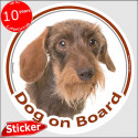 red wirehaired Dachshund, circle car sticker "Dog on board" 15 cm