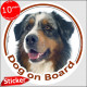 Blue merle Aussie, circle car sticker "Dog on board" 15 cm Australian Shepherd Sheepdog decal label photo notice