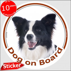 Circle sticker "Dog on board" 15 cm, Black & White Border longhaired Collie decal label adhesive photo notice