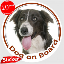 Brown Border Collie, circle car sticker "Dog on board" 15 cm decal label photo notice adhesive
