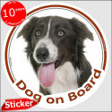 Brown Border Collie, circle car sticker "Dog on board" 15 cm