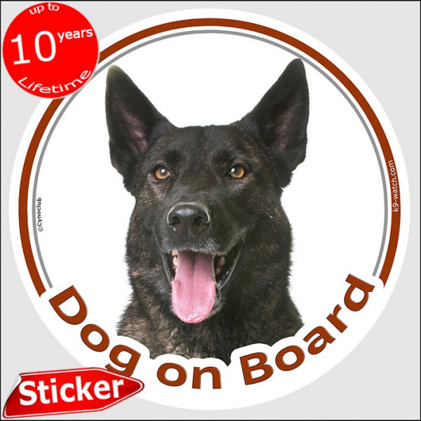 Brindle Dutch Shepherd, circle car sticker "Dog on board" 15 cm decal label photo adhesive notice