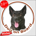 Brindle Dutch Shepherd, circle car sticker "Dog on board" 15 cm