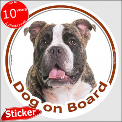 Brindle American Bully, circle sticker "Dog on board" 15 cm, car decal label photo adhesive notice