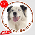 White & Blue merle Aussie, circle car sticker "Dog on board" 15 cm