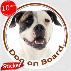 Brindle American Bulldog, car circle sticker "Dog on board" 15 cm, decal label photo notice