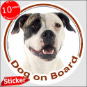 American Bulldog, car circle sticker "Dog on board" 15 cm