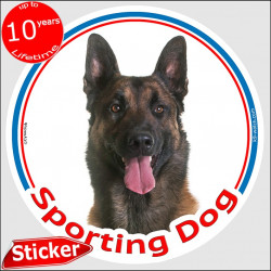Malinois Belgian Shepherd, circle car sticker "Sporting Dog" 15 cm Indoor/Outdoor car decal label photo notice agility
