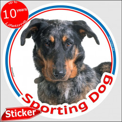 Harlequin Beauceron, circle car sticker "Sporting Dog" 15 cm, decal label photo notice agility sport