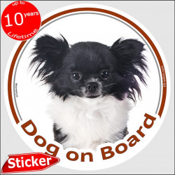 Long hair Chihuahua, car circle sticker "Dog on board" 15 cm