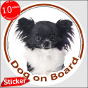 Long hair Chihuahua, car circle sticker "Dog on board" 15 cm